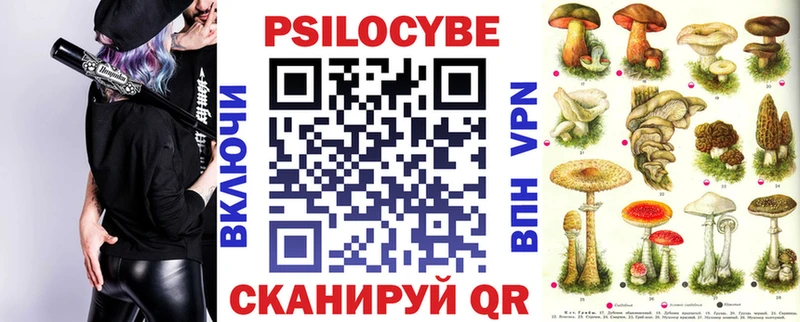 Псилоцибиновые грибы Cubensis OMG ССЫЛКА Мещовск